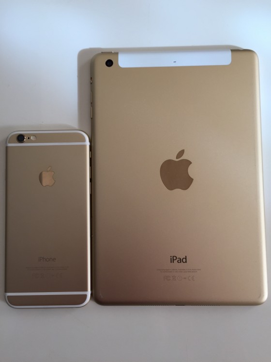 iPad mini 3 128GB セルラーモデル ゴールド 動作良好 ケース付 iPad mini 3 128GB WiFi + Cellular モデル ゴールド SIMフリーモデル